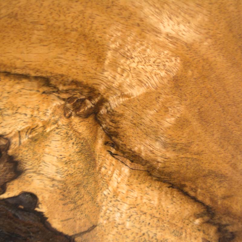 sweet acacia wood, an exotic tropical wood species, salvaged from damaged trees in florida